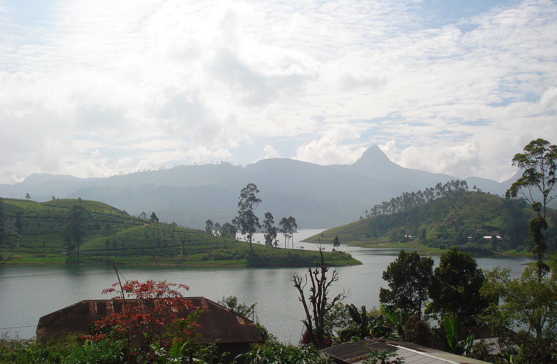 Srí Lanka má krásnu prírodu, ale tvrdé zákony. © Wikimedia.org