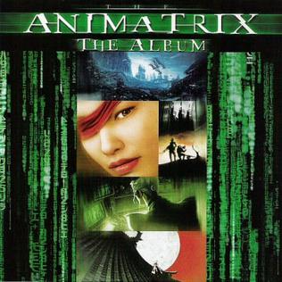 Animatrix vyšiel v roku 2003, súbežne s druhým dielom trilógie Matrix pod názvom Matrix Reloaded. © Wikimedia.org